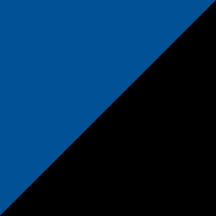 rectangle1