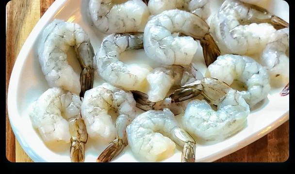 shrimp-supply-image